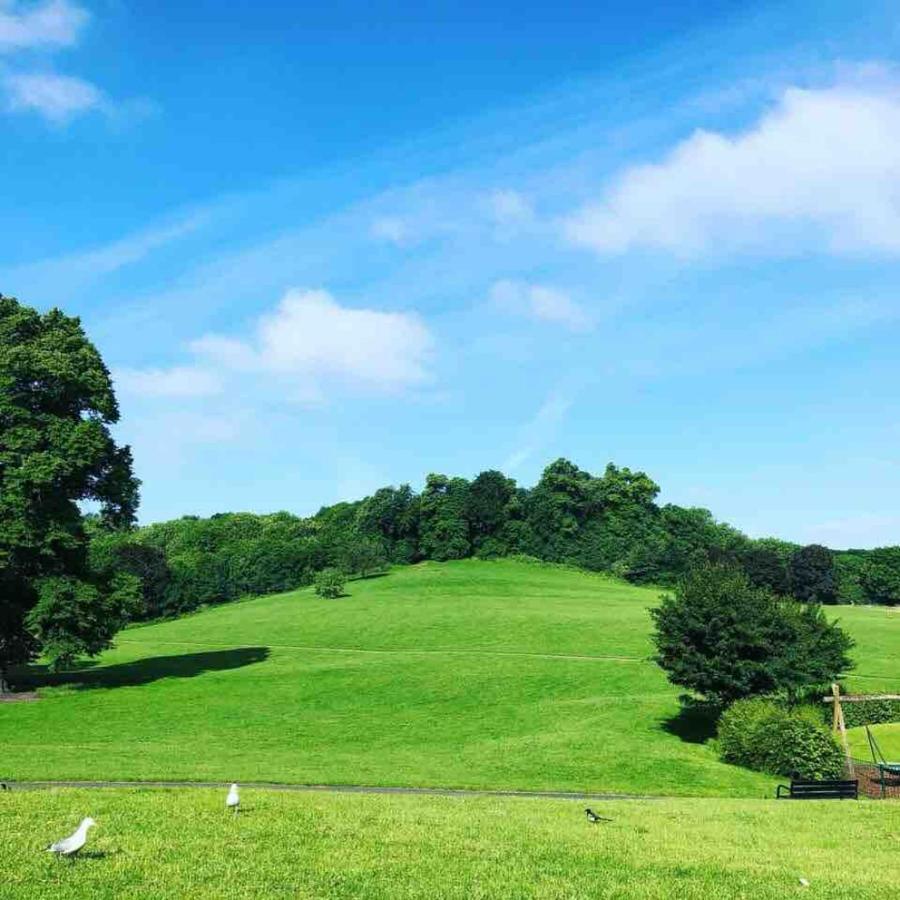 Hampstead House Runswick Road Bristol Luaran gambar